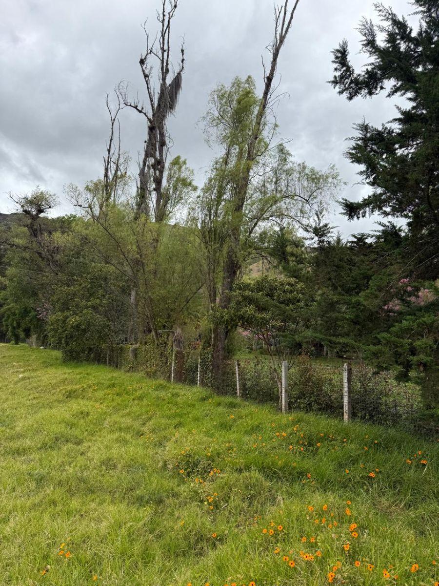 Terreno de Oportunidad en Venta – El Cabo, Paute, Azuay — imagen 3