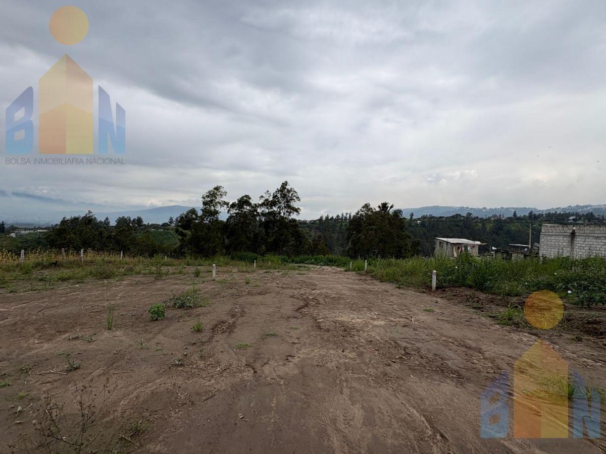 Vendo Terreno 50 % 100% Cos Proyecto Inmobiliario 6265 m² Llano Grande San Juan Loma Alto — imagen 4