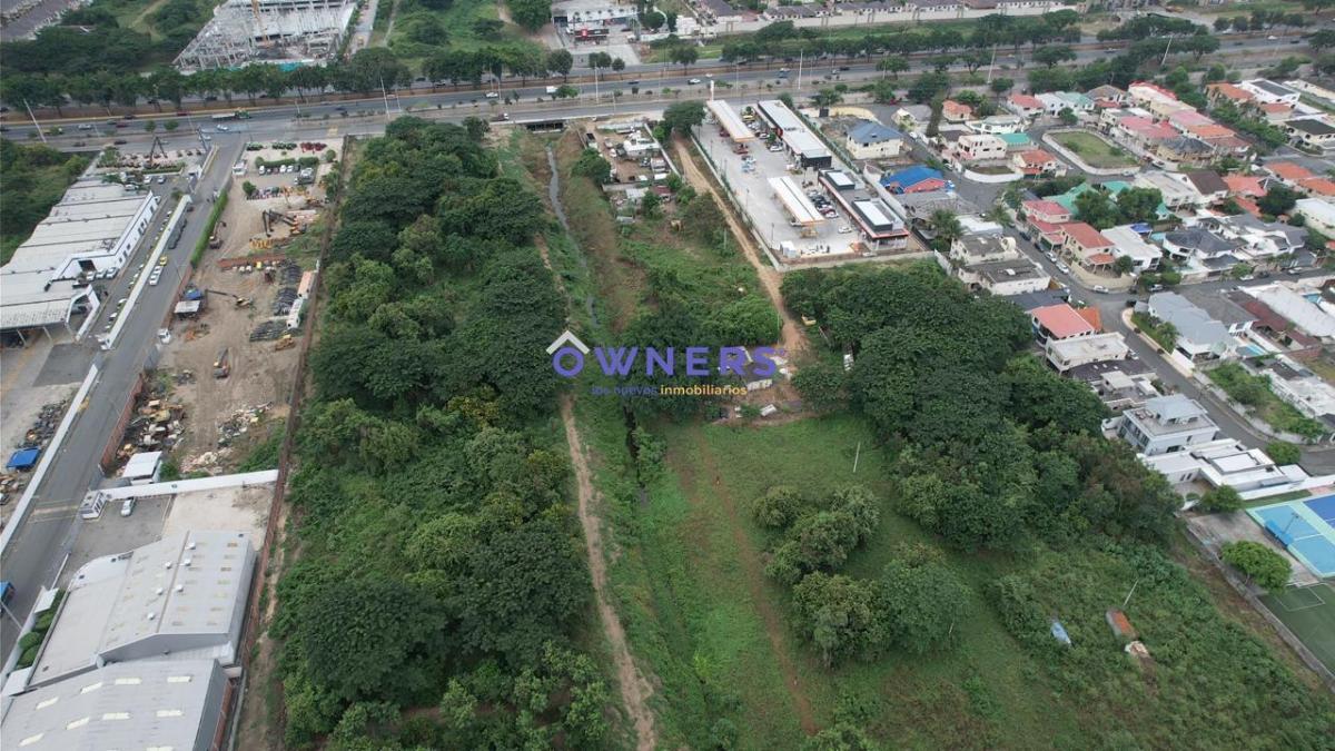 Se Vende Lote de Terreno 60.000 m² Km 9,5 Via a La Costa a Pie de La Via (Jlr), Guayas — imagen 7