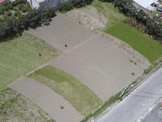 Terreno 4,400 m² Puembo Sector Parque Central — imagen 4