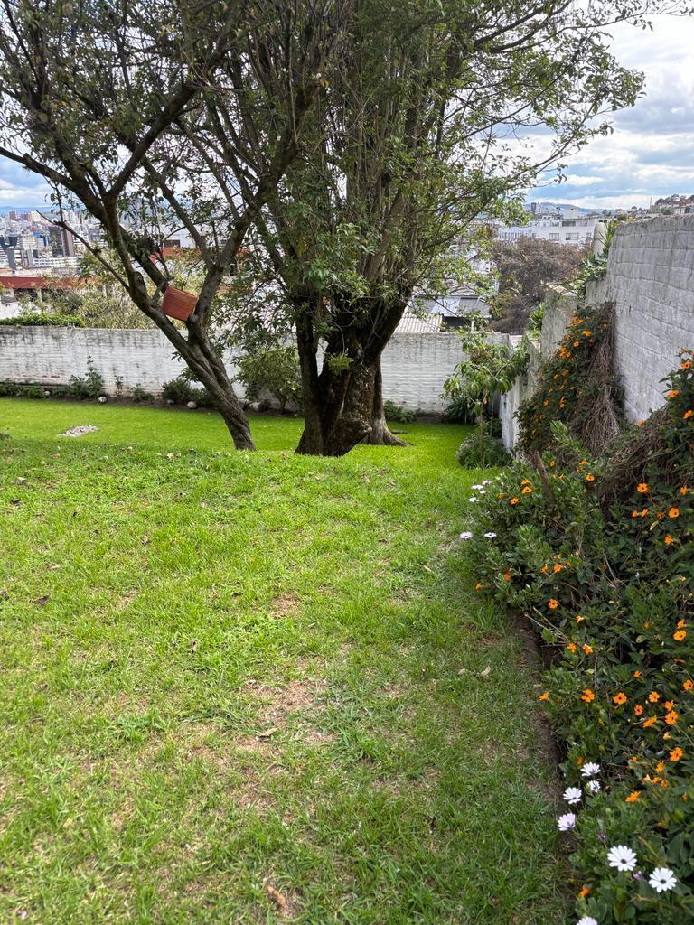 Vendo Terreno con Hermosa Vista en El Quito Tenis — imagen 4