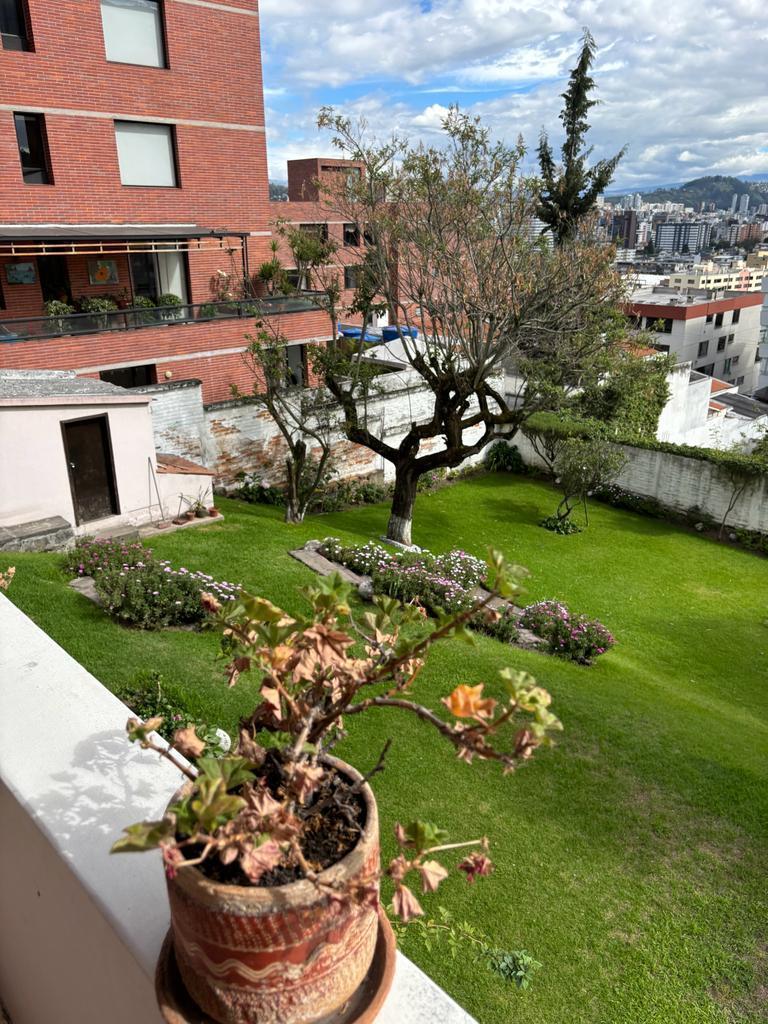 Vendo Terreno con Hermosa Vista en El Quito Tenis — imagen 3
