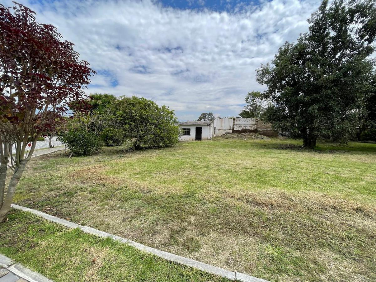 Terreno de Venta en El Sector Puembo de 600 m Mangahuantag Quito — imagen 4