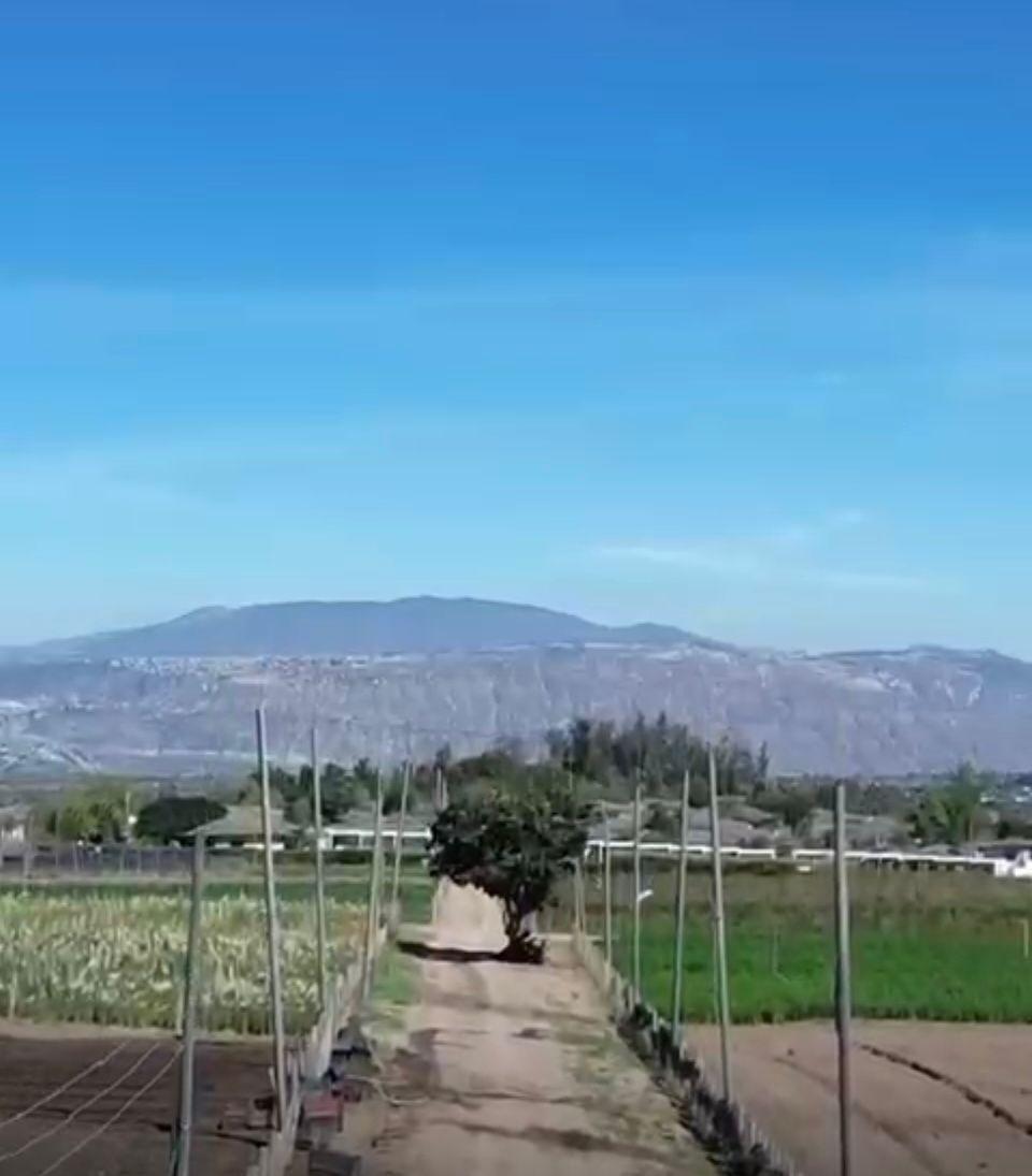 Venta Terreno 3 Ha en Checa – Ideal Para Desarrollo Inmobiliario o Inversión de Alta Plusvalía — imagen 4