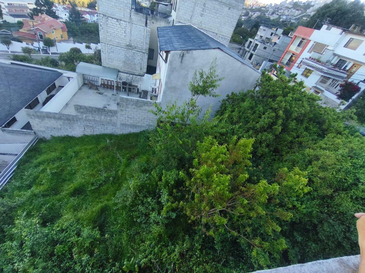 Vendo Terreno en Urbanización Privada Av Galo Plaza Entre Intercambiador de Carcelen y El Portal — imagen 5