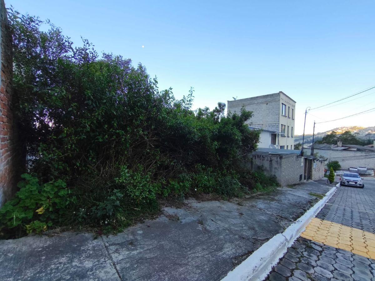 Vendo Terreno en Urbanización Privada Av Galo Plaza Entre Intercambiador de Carcelen y El Portal — imagen 4
