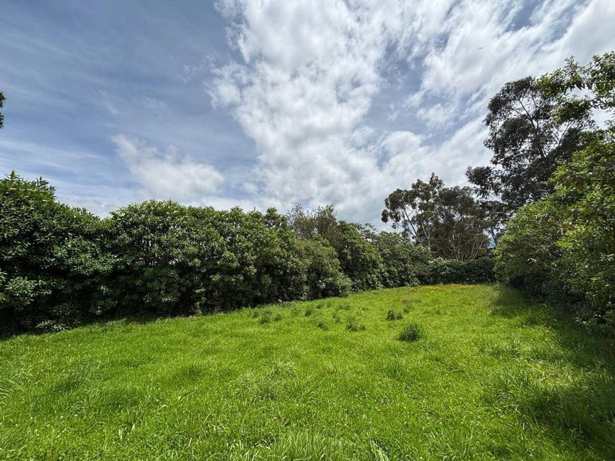 Terreno de 771 m² en Venta - Machachi — imagen 5