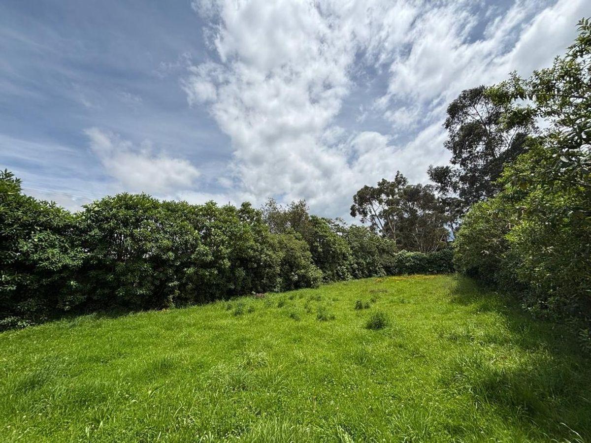 Terreno de 771 m² en Venta - Machachi — imagen 4