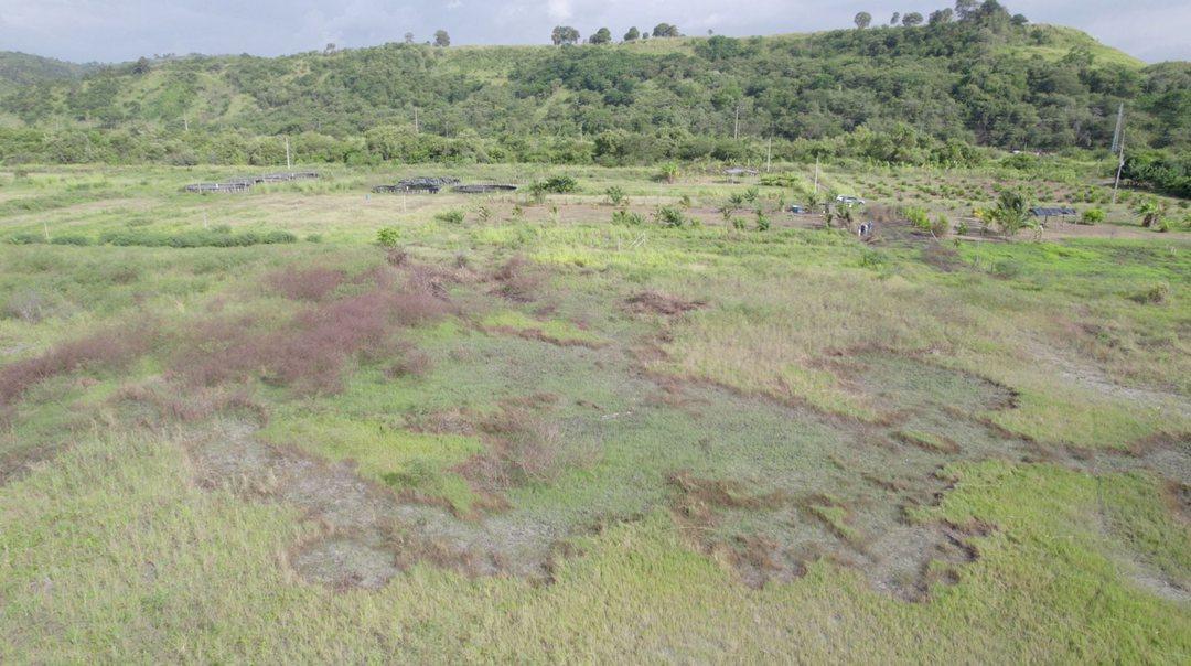 Venta - Hectarea - Esmeraldas - Ruta del Spondylus - Lotes - Norte — imagen 5
