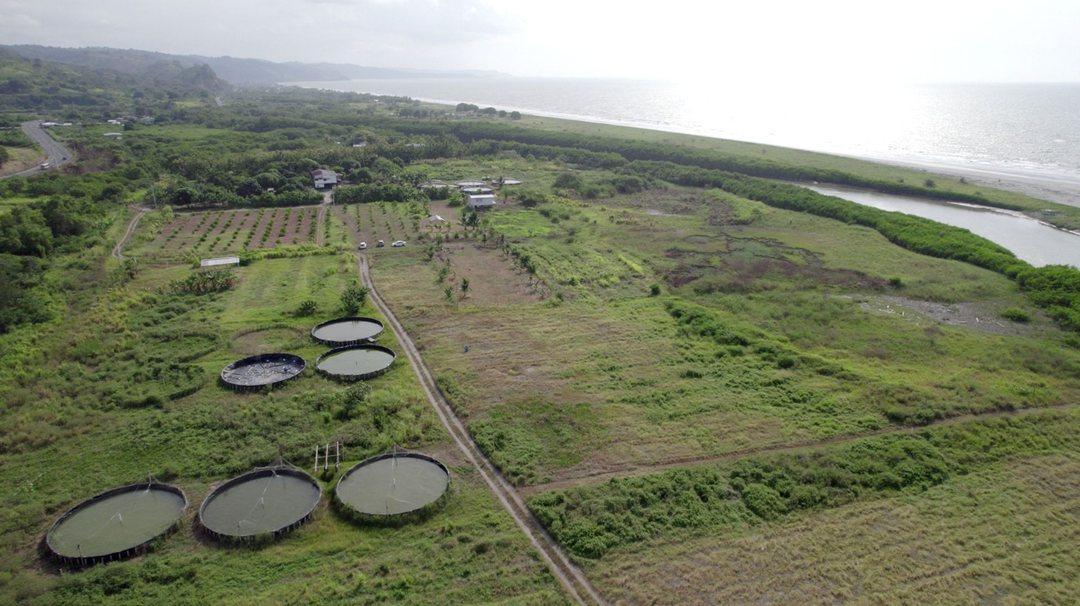 Venta - Hectarea - Esmeraldas - Ruta del Spondylus - Lotes - Norte — imagen 4