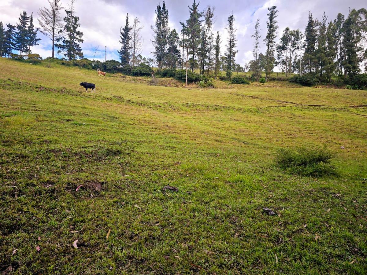 Venta - Lotes - Terreno - Quito - Quinche - Barrio La Esperanza — imagen 4