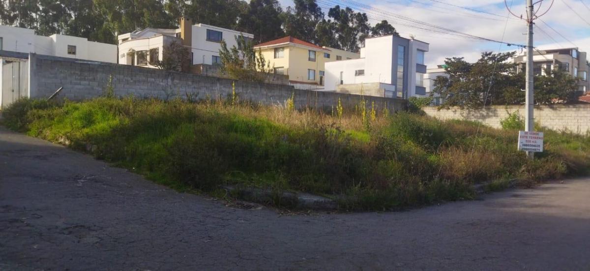 Venta - Terreno - Norte - Quito - Santa Lucia — imagen 7