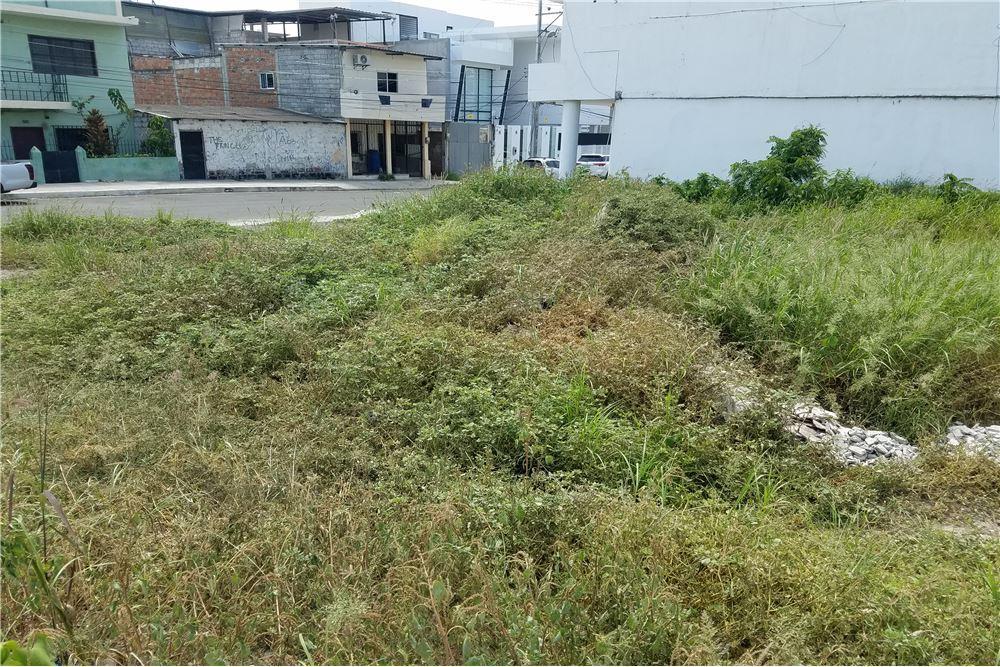 Terreno de Venta en Sector Céntrico de Manta, Manabí — imagen 3