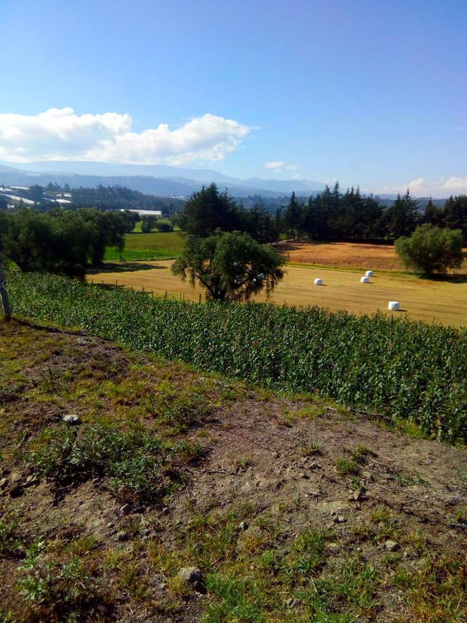 Hacienda en Venta con Mina en Producción en Salcedo, Cotopaxi — imagen 4