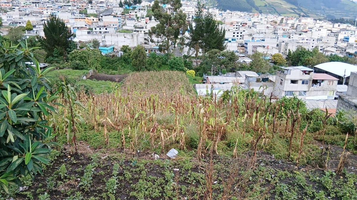 Se Vende Terreno — imagen 5