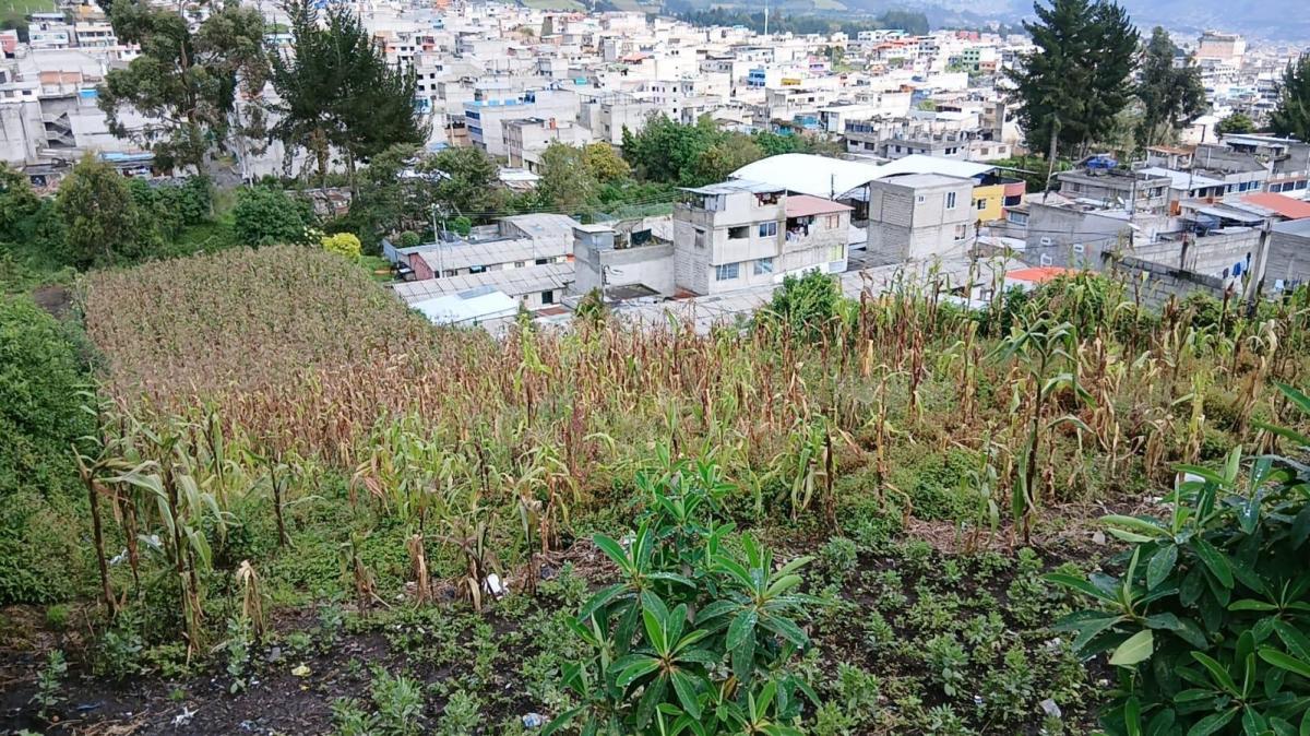 Se Vende Terreno — imagen 4