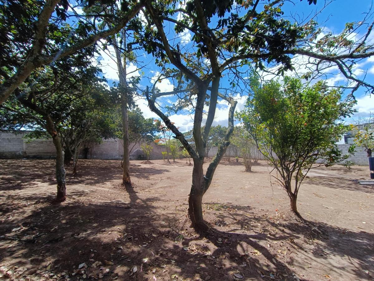 Vendo Terreno en Nayon, 1643 m — imagen 3