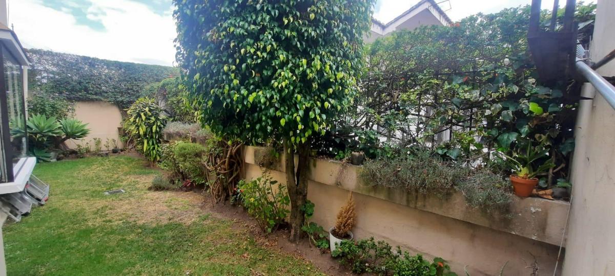 Terreno de Venta Sector Quito Tenis Para Constructor — imagen 4