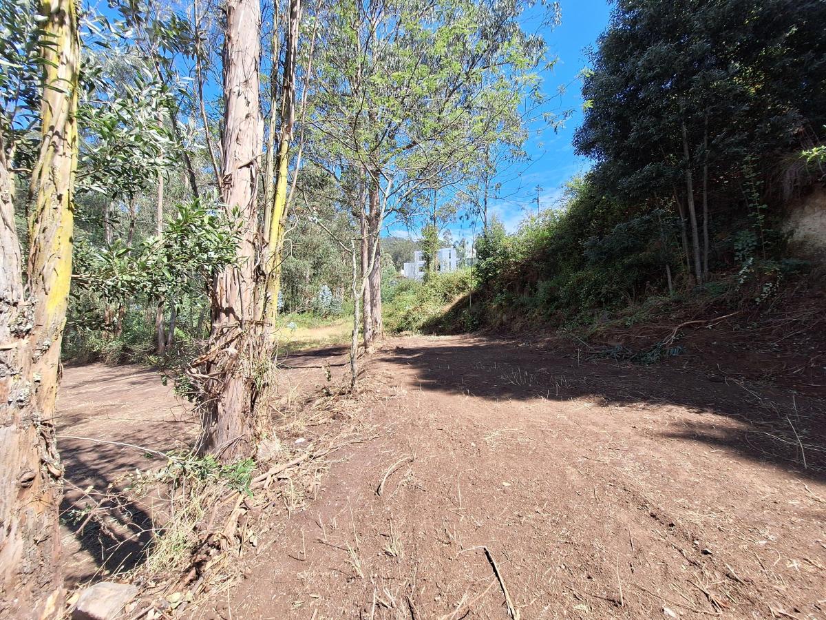 Lote de Terreno, Yanazarapata — imagen 4