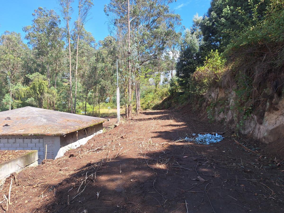 Lote de Terreno, Yanazarapata — imagen 3