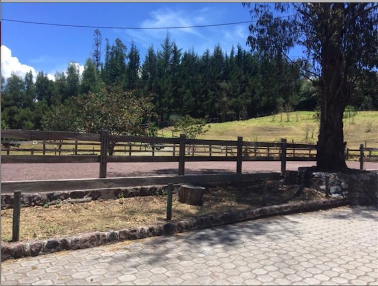 Los Chillos - Alangasi Terreno de Venta Ideal Para Residencias Campestres — imagen 4