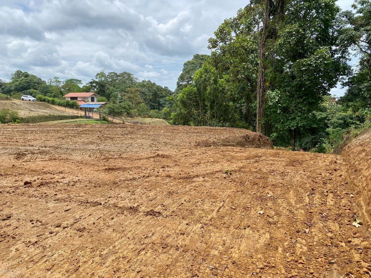 Oportunidad Terreno en Urbanización Silanche 1.500 m², Pedro Vicente m. Lote 181 — imagen 4