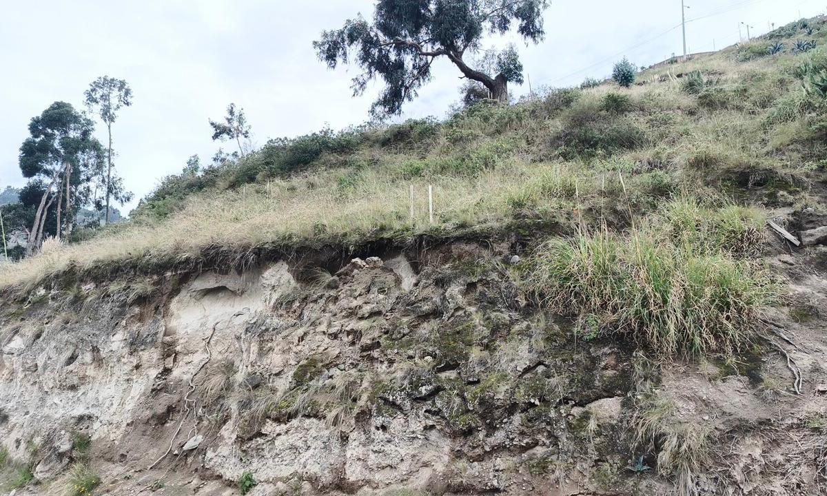 Terreno en Venta en Urbanización Exclusiva en Ficoa, Tungurahua — imagen 4