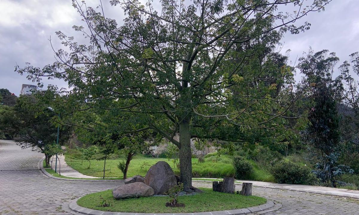 Venta de Terrenos Dentro de Urb Privada, Cumbayá Calle Los Conquistadores. $170 m² — imagen 4
