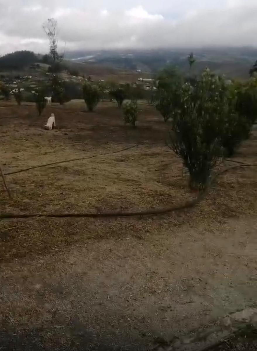 Venta Terreno — imagen 5