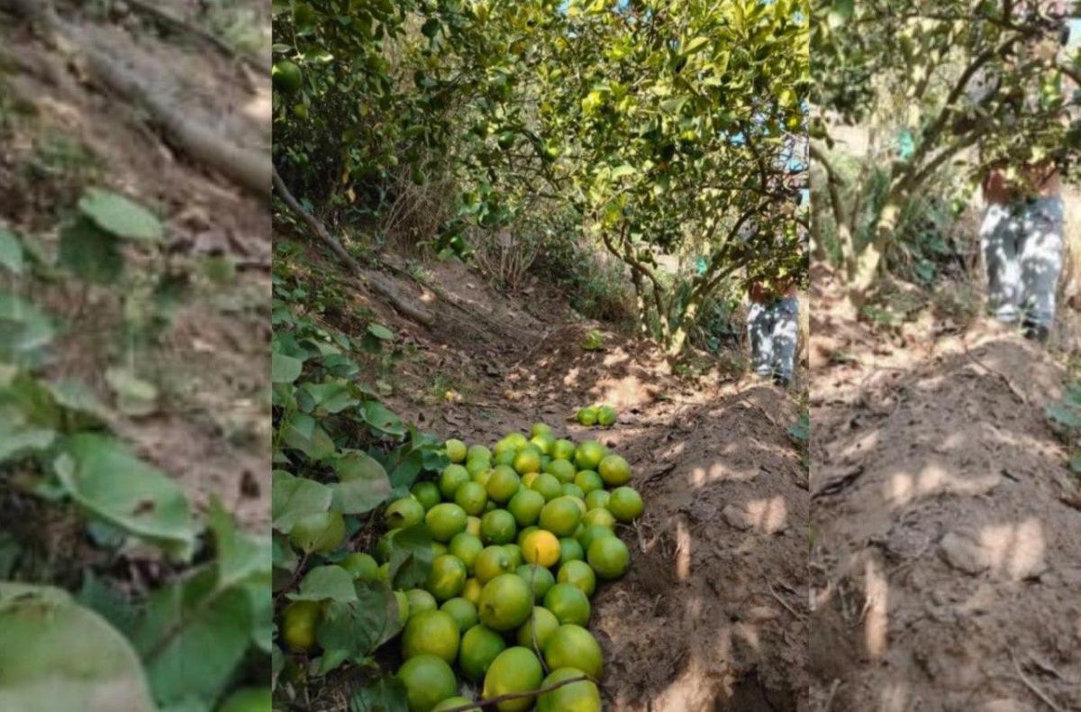 Terreno en Venta en Guayllabamba — imagen 3