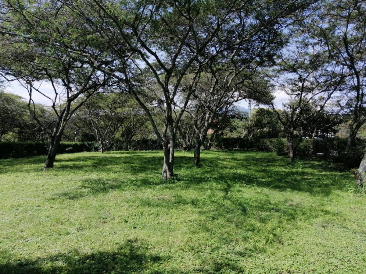 Venta en Cumbayá en Pillahua Terreno Plano y Dentro de Urbanización de Primera — imagen 5