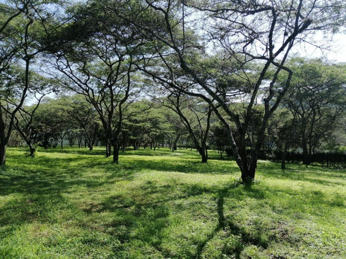 Venta en Cumbayá en Pillahua Terreno Plano y Dentro de Urbanización de Primera — imagen 4