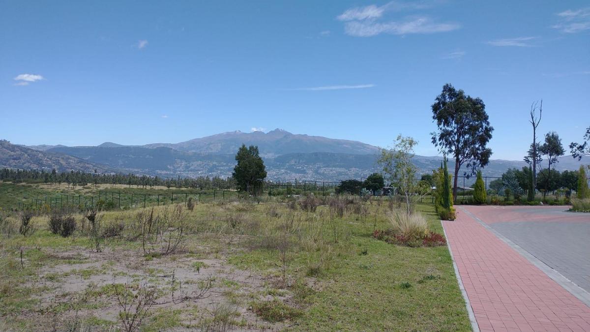 Terrenos en La Recta de Puembo a Pifo a Unos 350 m de La Interoceanica — imagen 5