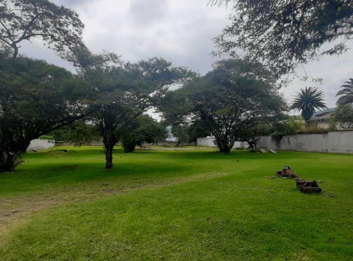 Venta Terreno en Tumbaco Sector La Viña Inf. Cbr Carla del Pino — imagen 4