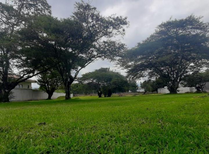 Venta Terreno en Tumbaco Sector La Viña Inf. Cbr Carla del Pino — imagen 3