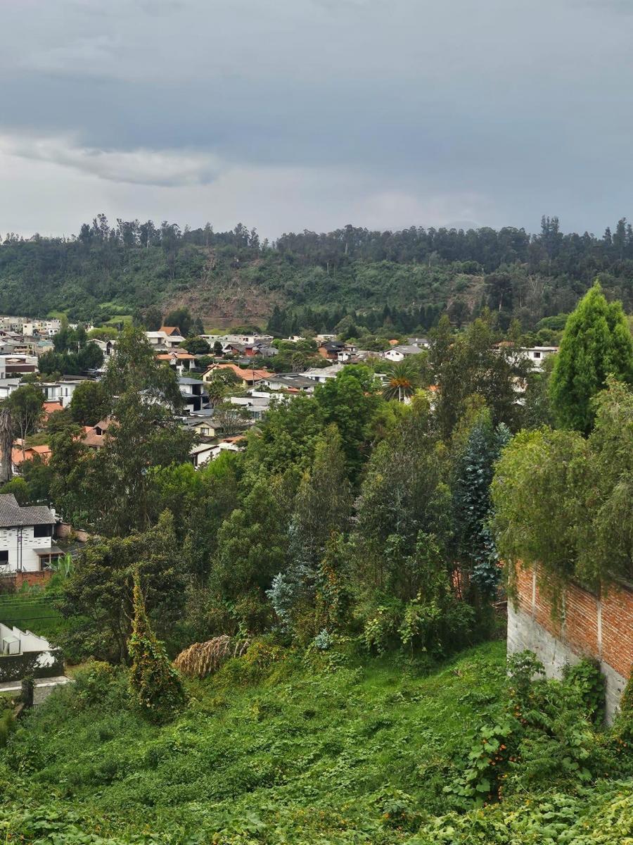 Terreno en Urbanización Los Chillos — imagen 3