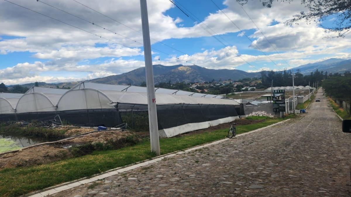 Terreno de Venta de Tumbaco, Sector Buena Esperanza — imagen 9