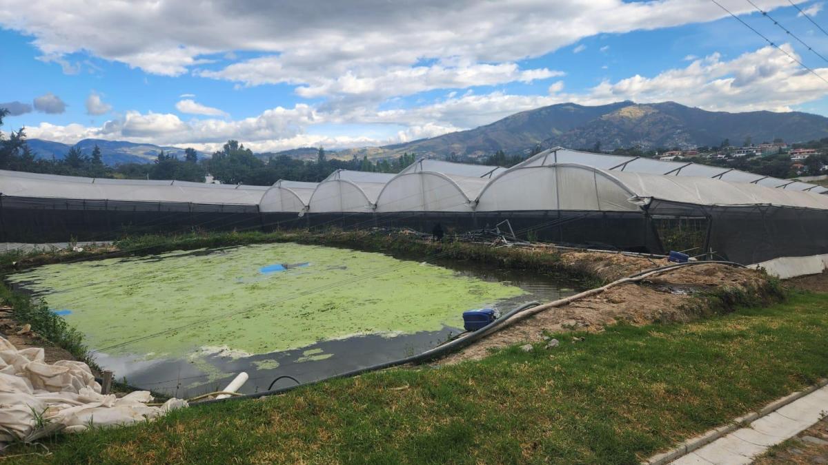Terreno de Venta de Tumbaco, Sector Buena Esperanza — imagen 4