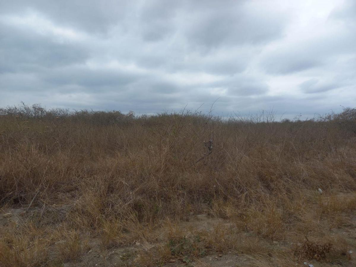 Terreno de Venta en Montecristi Zona Norte, Manabí — imagen 4