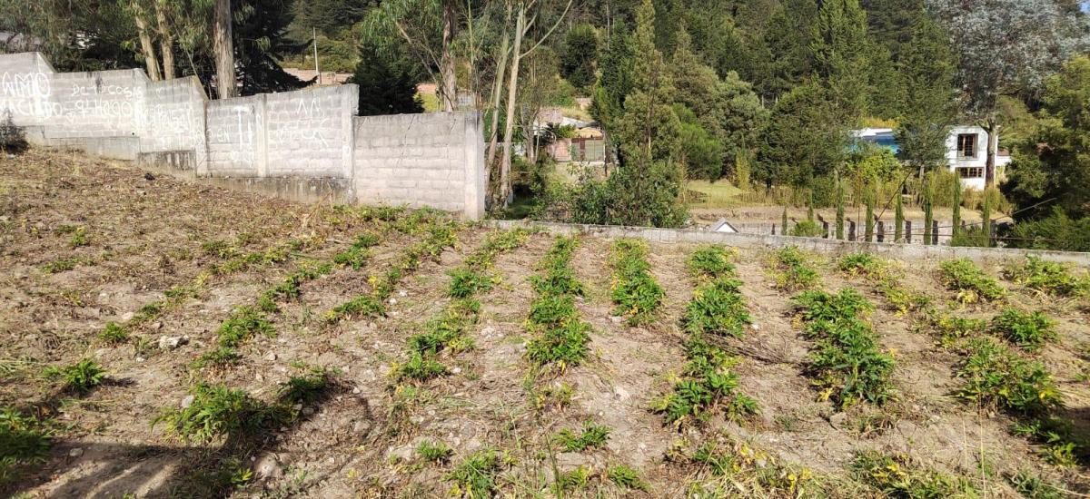 Terreno en Venta Sector Peaje Barrio Buenos Aires — imagen 4