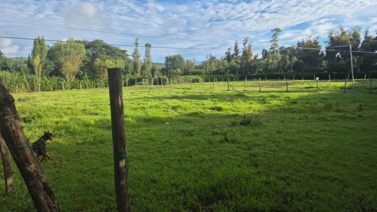 Terrenos Ideales Para Quinta a Solo 10 Minutos de Ibarra, Atuntaqui y Urcuquí, Imbabura — imagen 5