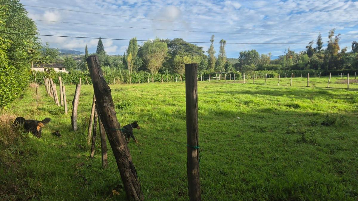 Terrenos Ideales Para Quinta a Solo 10 Minutos de Ibarra, Atuntaqui y Urcuquí, Imbabura — imagen 3