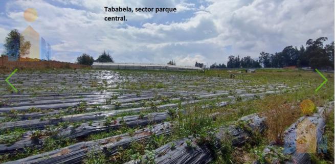 Venta de Terreno 6.578 m², Tababela, Cerca Al Parque Central. Provincia de Pichincha — imagen 4