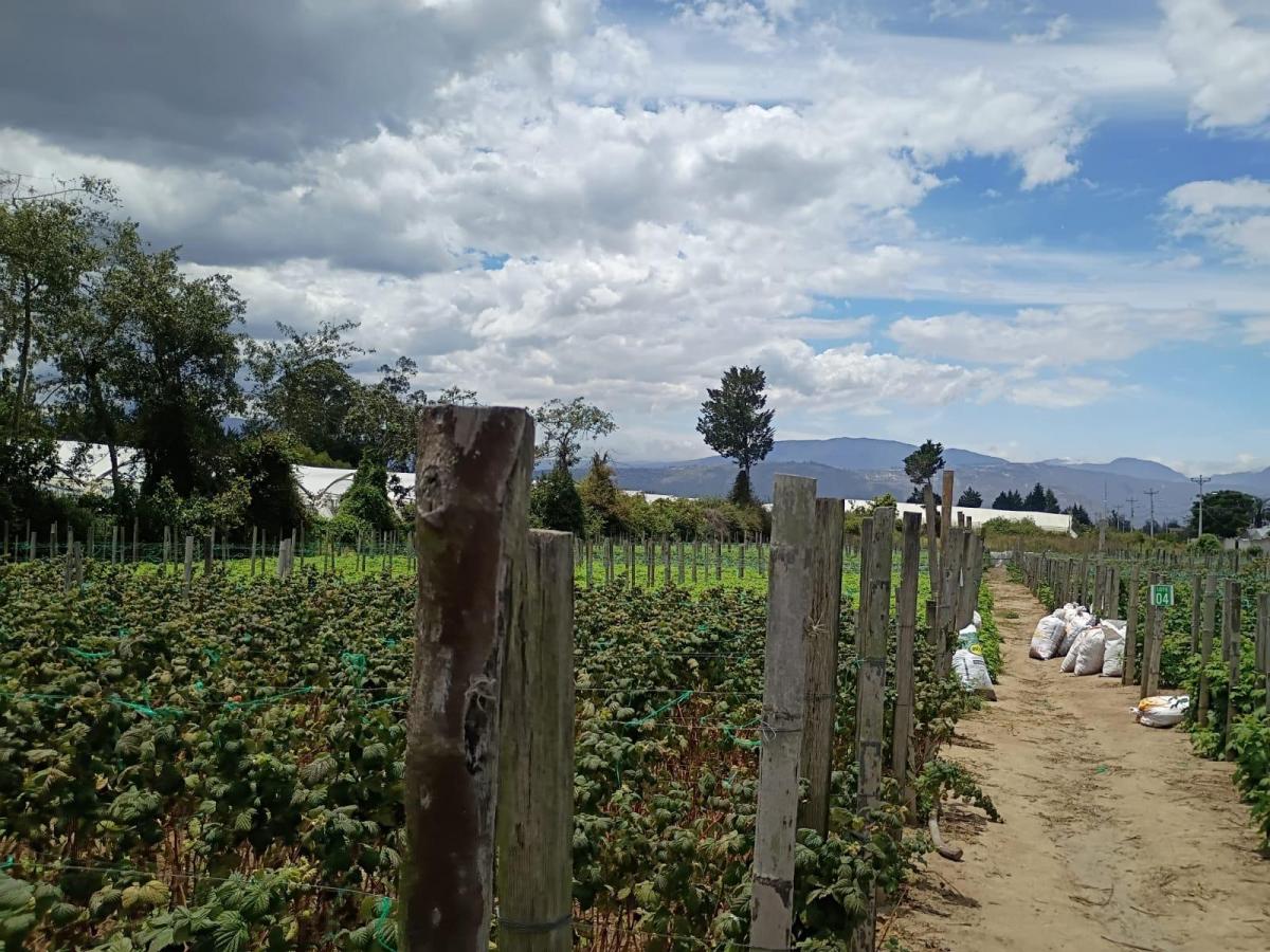 Terreno Entre El Quinche y Guayllabamba — imagen 5