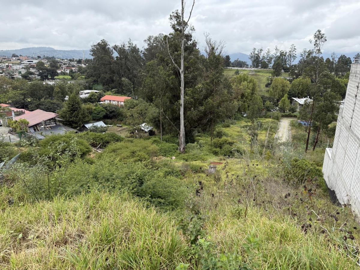 Terreno en Venta en Plena Vía Principal — imagen 7