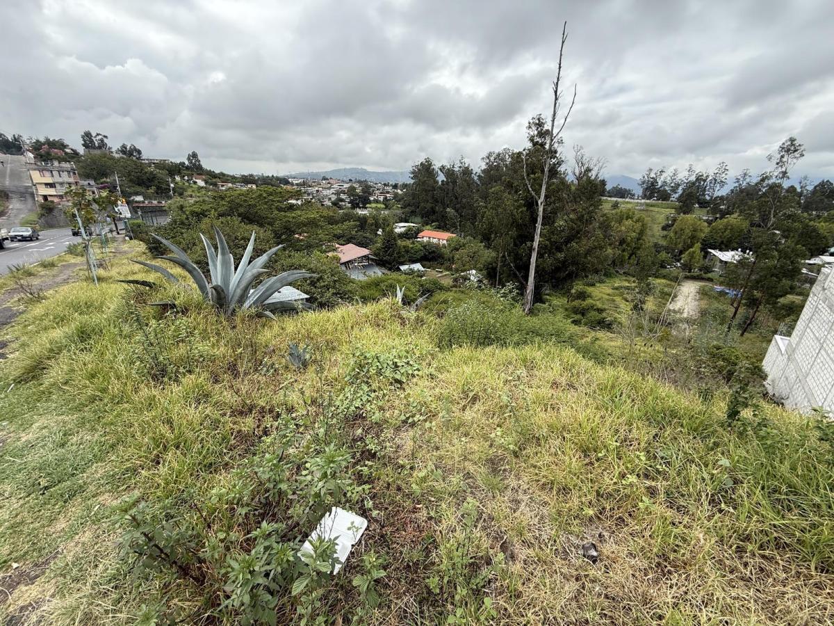 Terreno en Venta en Plena Vía Principal — imagen 6