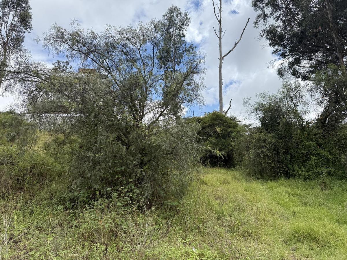 Terreno en Venta en Plena Vía Principal — imagen 3