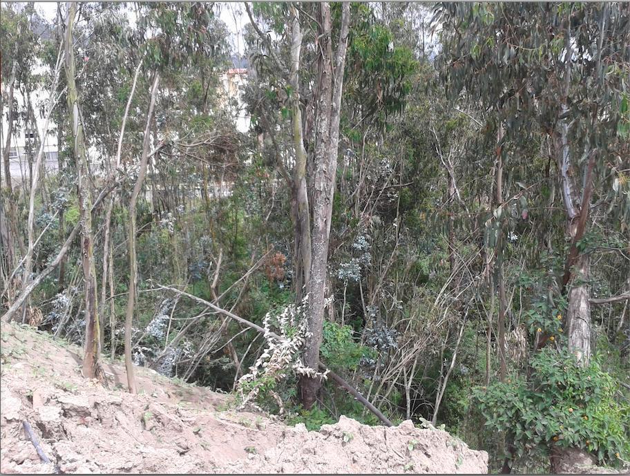 Miravalle. Hermoso Lote Ideal Para Constructores — imagen 3
