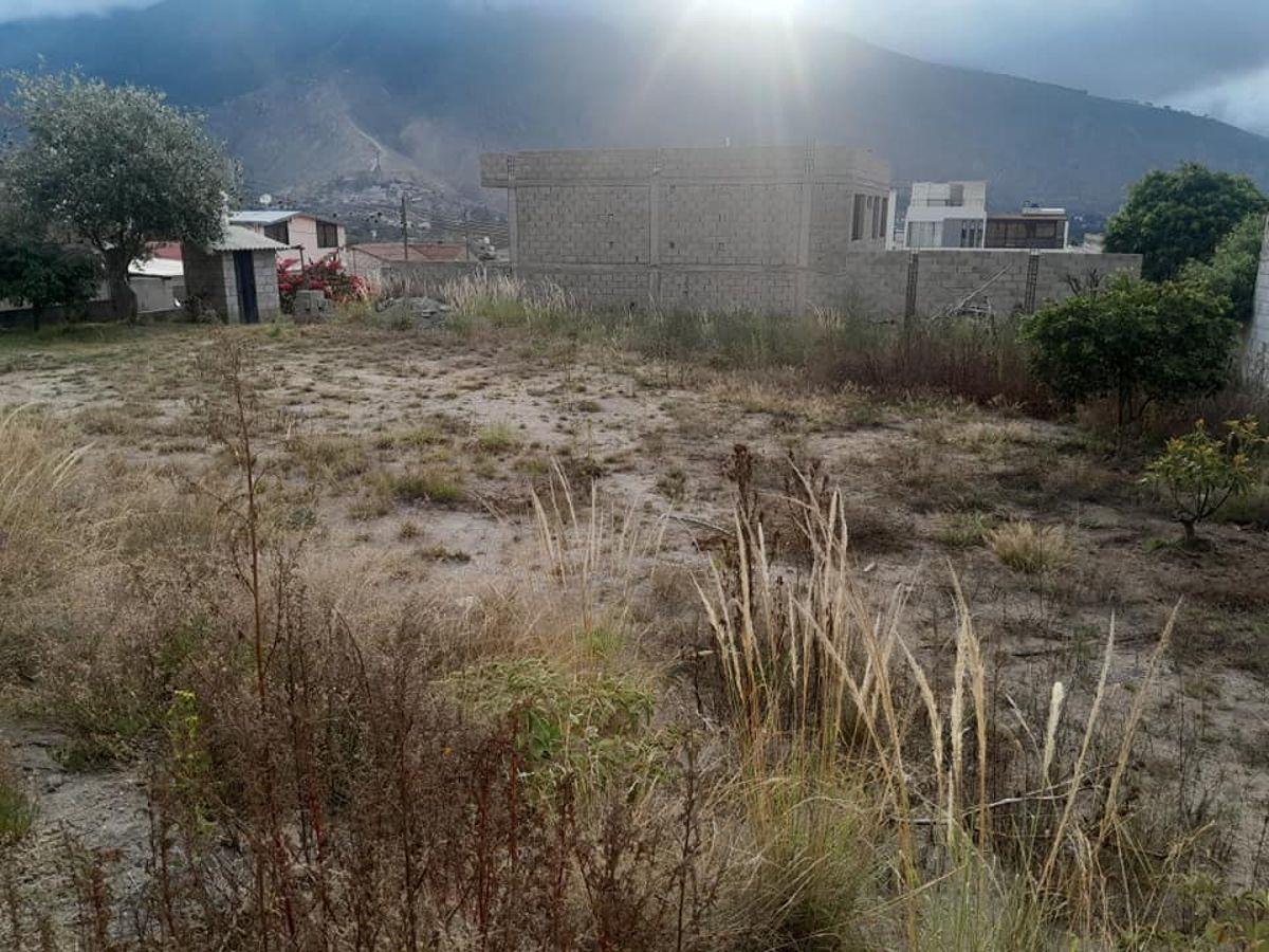 Venta Terreno Dentro de La Urbanizcion de La Liga — imagen 5