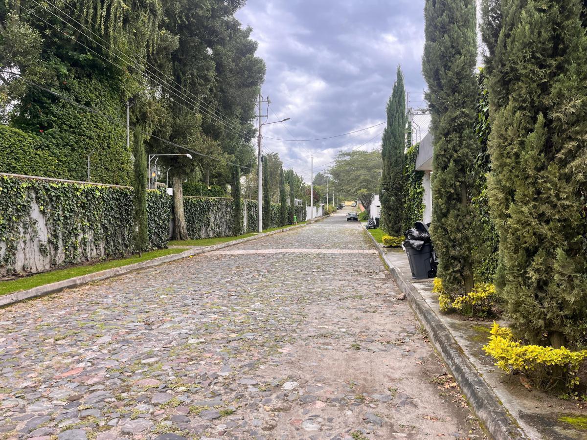 Terreno de Venta en Puembo en Urbanización Via Arrayanes — imagen 5